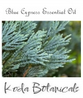 Blue Cypress Pure Essential Oil 10ml